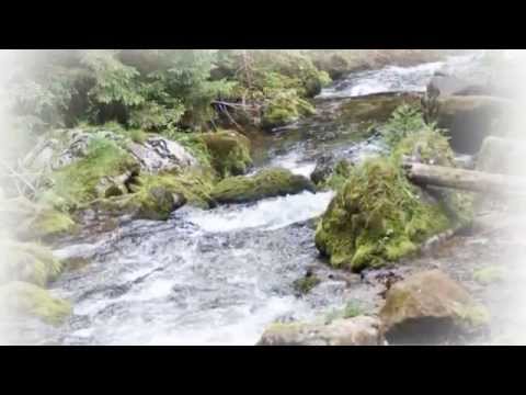 Bernard Ładysz - Upływa szybko życie.wmv