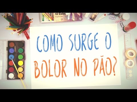 Ciência Explica - "Como surge o bolor no pão?"