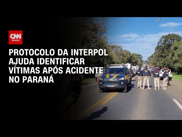Acidente no PR: Polícia usa protocolo da Interpol para identificar vítimas | CNN NOVO DIA