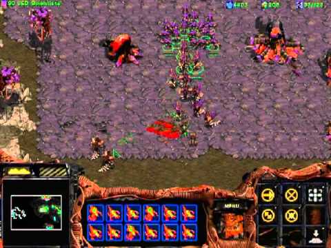 Let's Play Starcraft Brood War (49-1) Never a Dull Moment