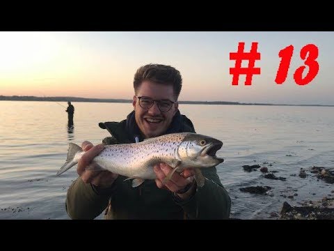 Meerforelle und Dorsch in Flensburg - Ronny´s Fishing Channel