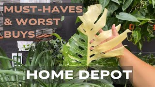 Home Depot Plant Shopping || What I WOULD & WOUDN’T Buy