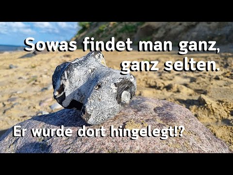 Ein Hammerfund an der Ostsee - Fossilien suchen an der Ostsee