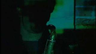 chuck perrin  SWALLOW LIFE