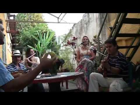 A flor e o espinho (Davi Bessa e grupo Chororosambô)