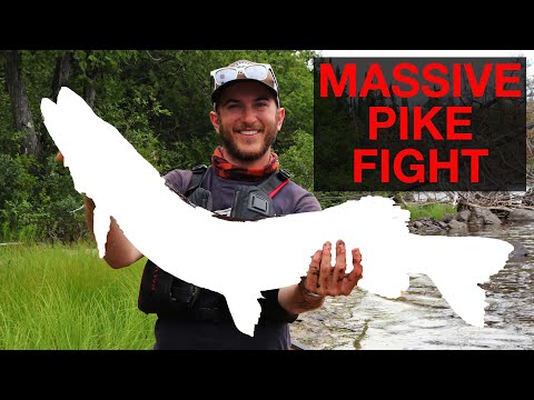 TROPHY PIKE ON 10 LB MONO - You NEED to see this!!!