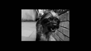 Andy Stott - Science And Industry (Unofficial Music Video)