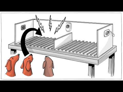 Learned Helplessness