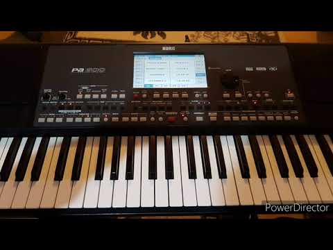 Martin - Korg pa600 - Urnebes kolo - (Vasilevski)