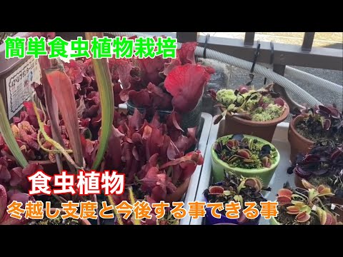 園芸 冬になると虫はどうなるの?