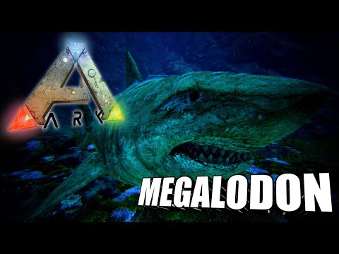 Taming A Megalodon | Ark Survival Evolved | The Island