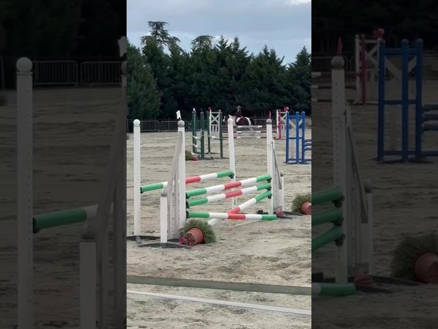 Poney de sport 6 ans 