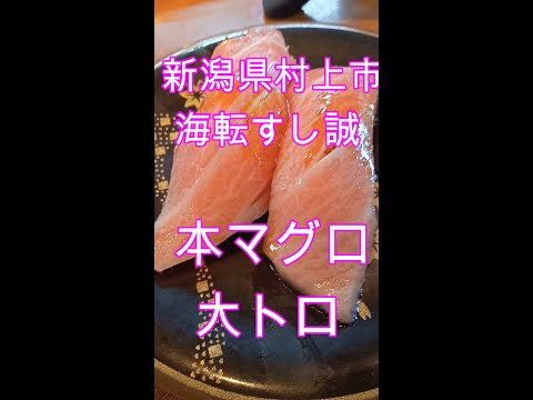 Ciudad de Murakami, Prefectura de Niigata Kaiten Sushi Makotoro Toro #shorts #Otoro #Sushi