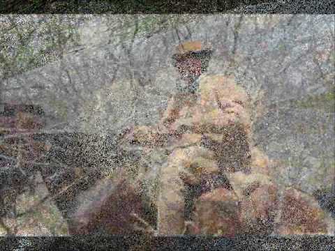 Avoante video