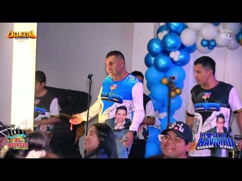 MUCHOS AMORES (D.R) - FELIX NAVARRO Y SOMBRA AZUL - FELIZ CUMPLEAÑOS EL GATO FELIX NAVARRO