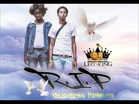 Leo King - R.I.P (Siah Boss Tribute)