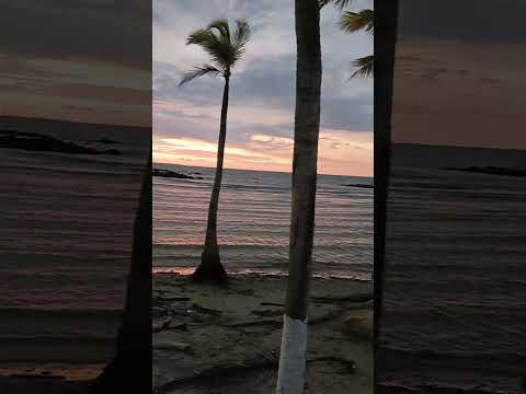 ASI ES EN COVEÑAS SUCRE - COLOMBIA