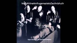 Sopor Aeterenus & The Ensemble Of Shadows- All good things are Eleven