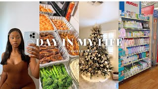 DAY IN MY LIFE AS AN EXPECTING MOM| Decorating for the Holidays, Thanksgiving Dinner, Baby Shopping