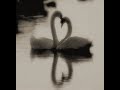 Ala Babu Mashrou' Leila slowed
