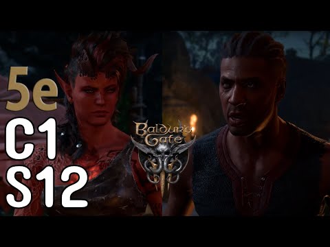 Fireside Friends or Foes? | C1S12 | Tactician | Baldur's Gate 3 5th Edition Edition