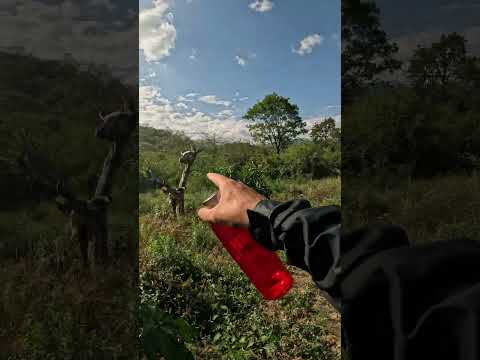 Parte 1. 📍cascadas de la alberca - salitral ( Morropón, piura ) 