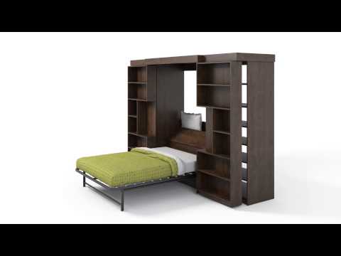 ORG Home Library Murphy Bed