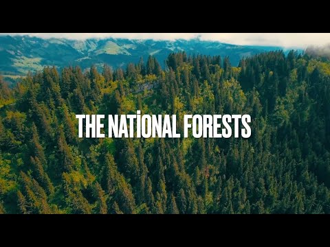 Redwood National and State Parks | The National Forests