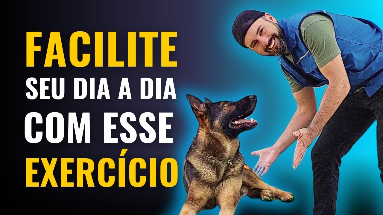 APRENDA A ENSINAR O EXERCÍCIO que tem MUITAS FINALIDADES e diversos NOMES para seu CACHORRO [place]