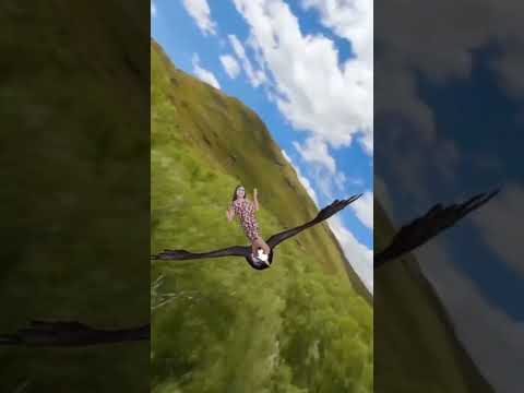 sino Sama sa akin uwi ng pinas