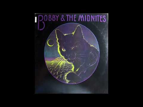 Bobby & The Midnites – Festival