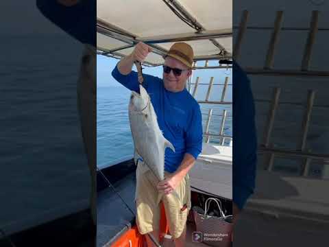 Join trip Big Game Light Jigging Krabi Thailand