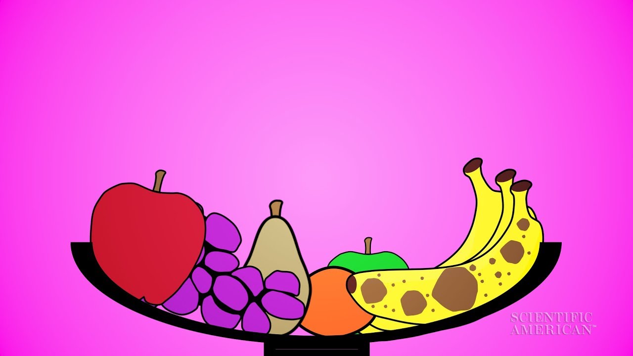 Why Do Bananas Change Color?