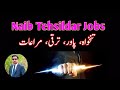 Naib Tehsildar Jobs Salary Power Promotion Competest