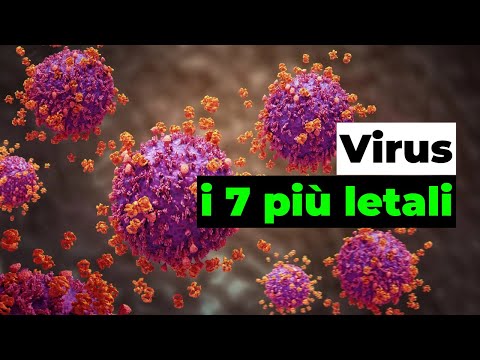 Quali sono i 7 virus più letali della storia?