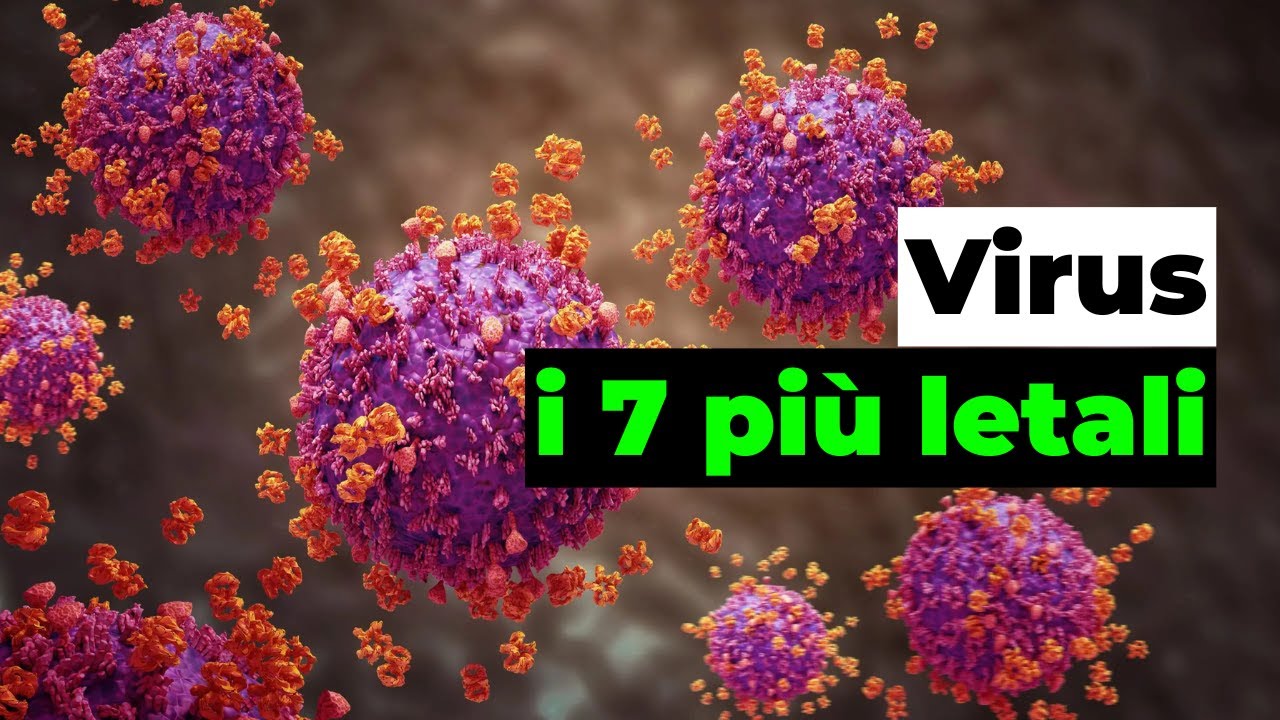 Quali sono i 7 virus più letali della storia?