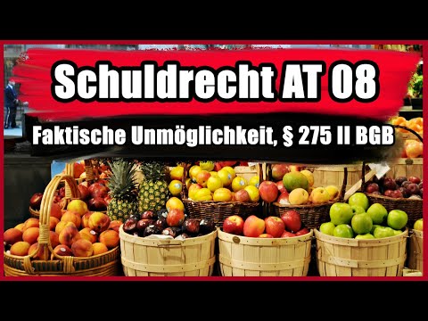 Faktische Unmöglichkeit (§ 275 II BGB) und wirtschaftliche Unmöglichkeit - Schuldrecht AT 08