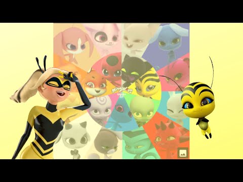 Queen Bee Transformation with Different Music