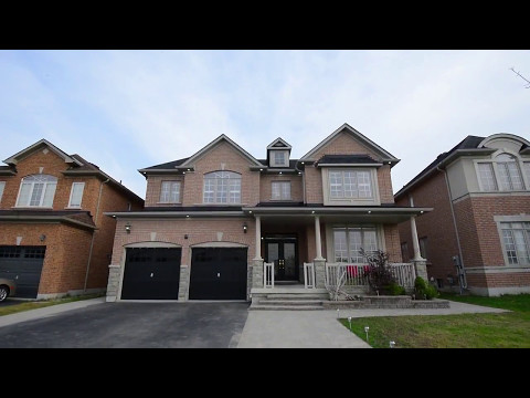 82 Mount Royal Circle Brampton, Syed Irtaza Hussain