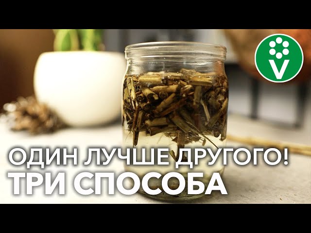 ЗАМОЧИТЕ СЕМЕНА В ЭТОМ! ПРОРАСТУТ НА РАЗ-ДВА, а рассада не будет болеть!