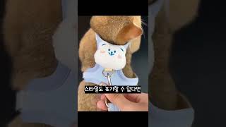 유튜브 썸네일