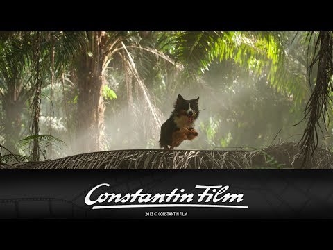 Fünf Freunde 3 - Tierisches Erlebnis