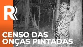 Miniatura do vídeo