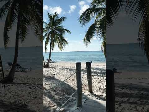 Good times 🙌🏻 #travel #beach #keywest#fyp #florida #travelvlog