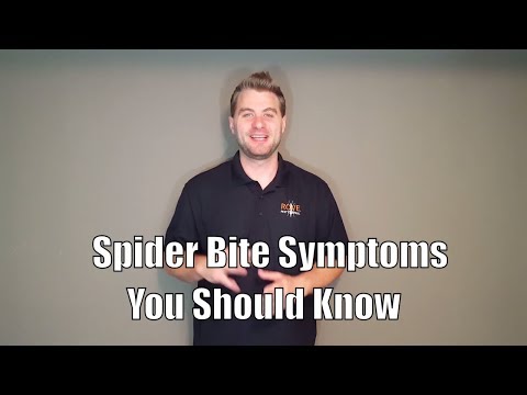 Spider Bite Symptoms You Should Know