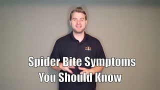 Spider Bite Symptoms You Should Know