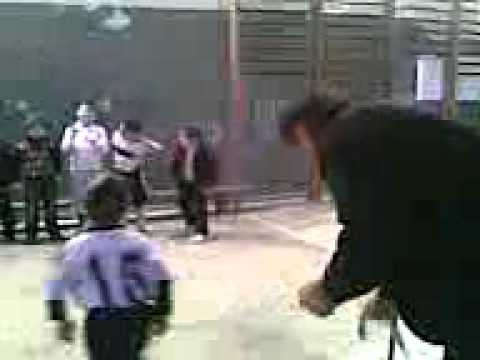 dima.3gp bibilashvili