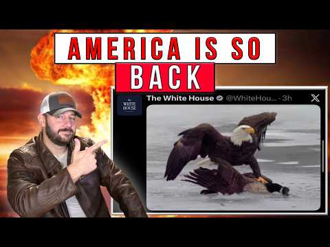 Braden Langley LIVE | Dems Reel As American Pride SURGES & Fallout Begins For Socialist With A Smile Thumbnail