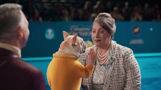 WOW! Lock in super fast, ultra reliable fiber Internet