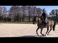 Kokaïne de Vima - Jument de 6 ans